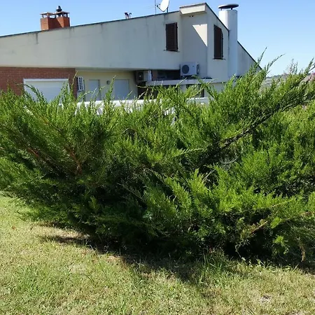 B &b A Casa Di Titti 3* Morciano di Romagna